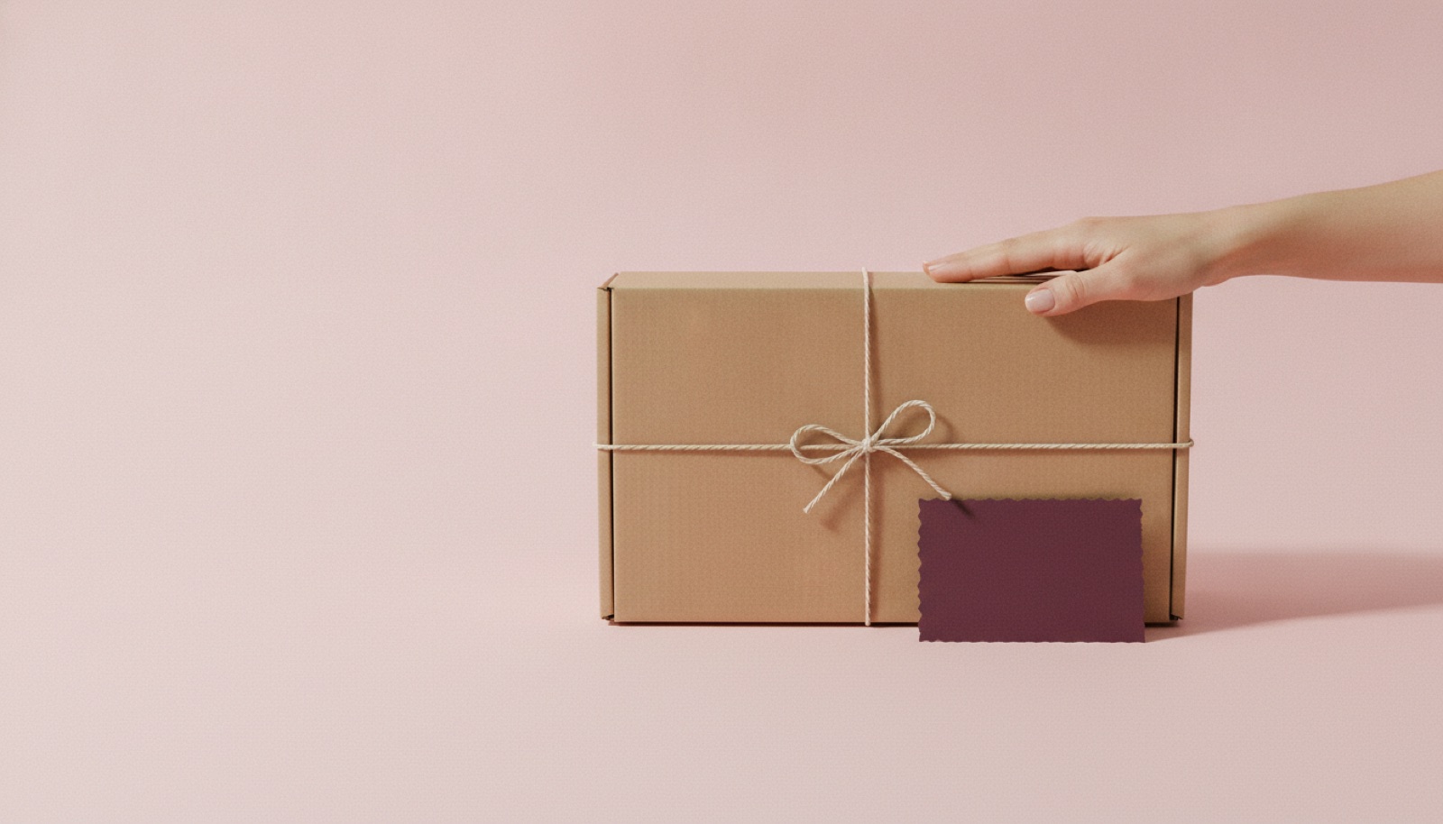 A hand resting on a sealed kraft package on a blush studio backdrop